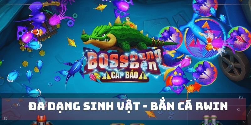 Đa dạng loài vật biển thú vị tại RWIN