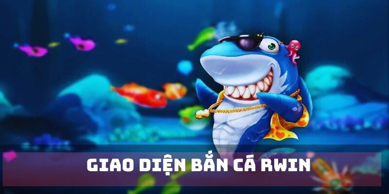 Ấn tượng từ giao diện ngư trường