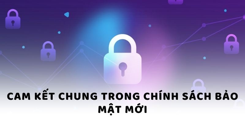 Cam kết chung trong chính sách bảo mật mới