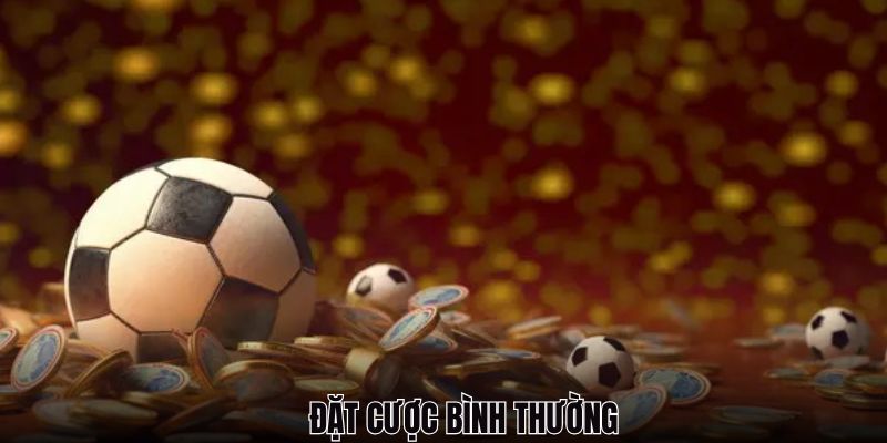 Thành viên tiến hành hoạt động cá cược bình thường
