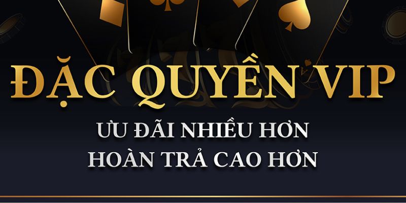 Sơ lược về Vip RWIN